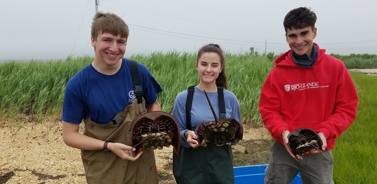 Wildlife Students studying turtles