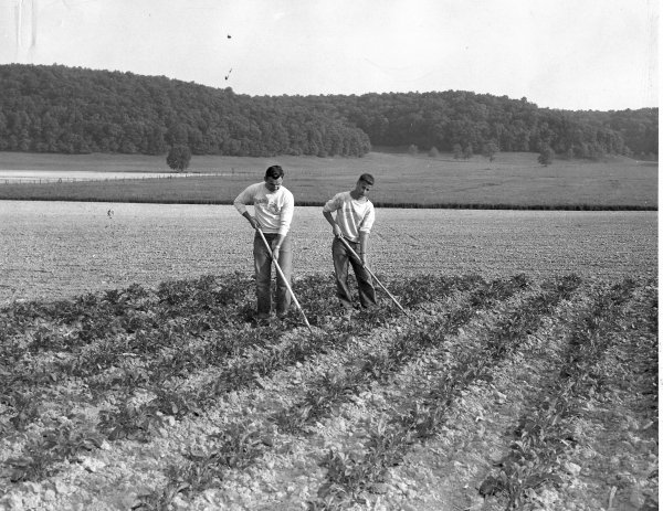 students working on farm at Rio Grande College