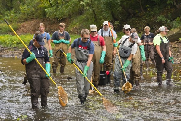 Catfish Release